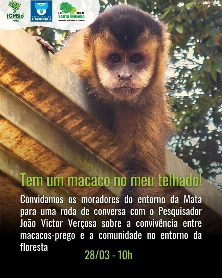 Prefeitura mantem fechados parques e a Mata de Santa Genebra neste sábado, 14, após chuvas de mais de 80mm em 72h