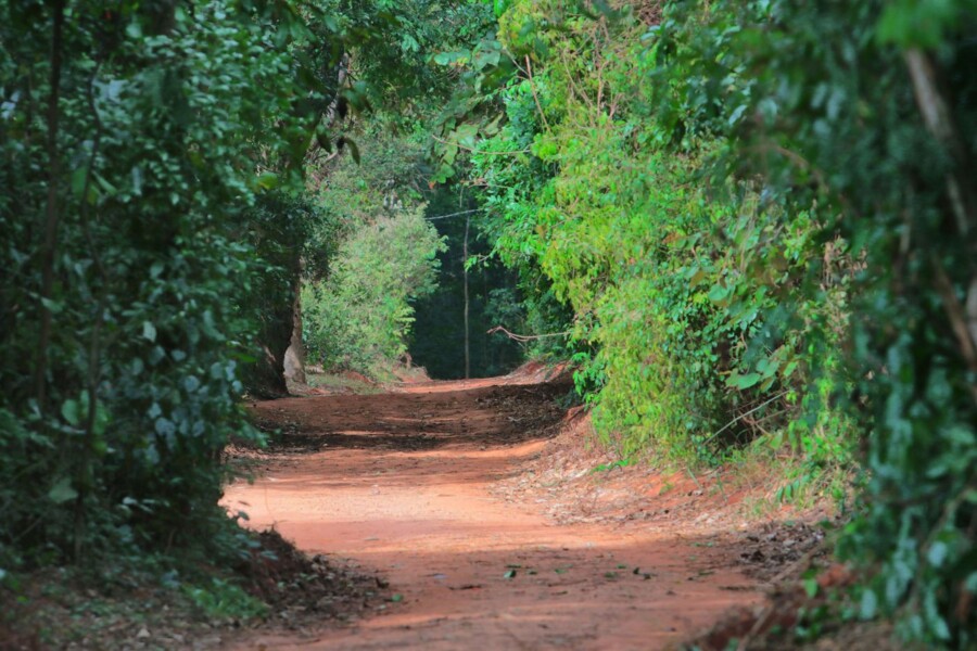 Prefeitura mantém as seis áreas de lazer e a Mata de Santa Genebra, na região Norte, fechados para visitação