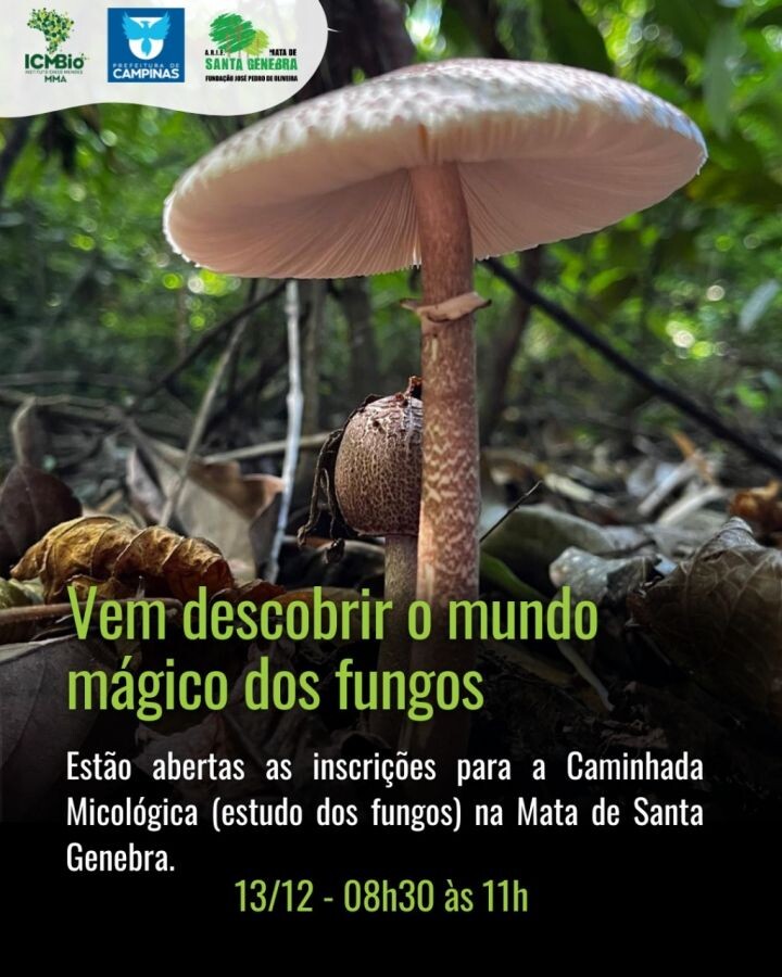 Mata de Santa Genebra recebe 2º edição da Caminhada Micológica