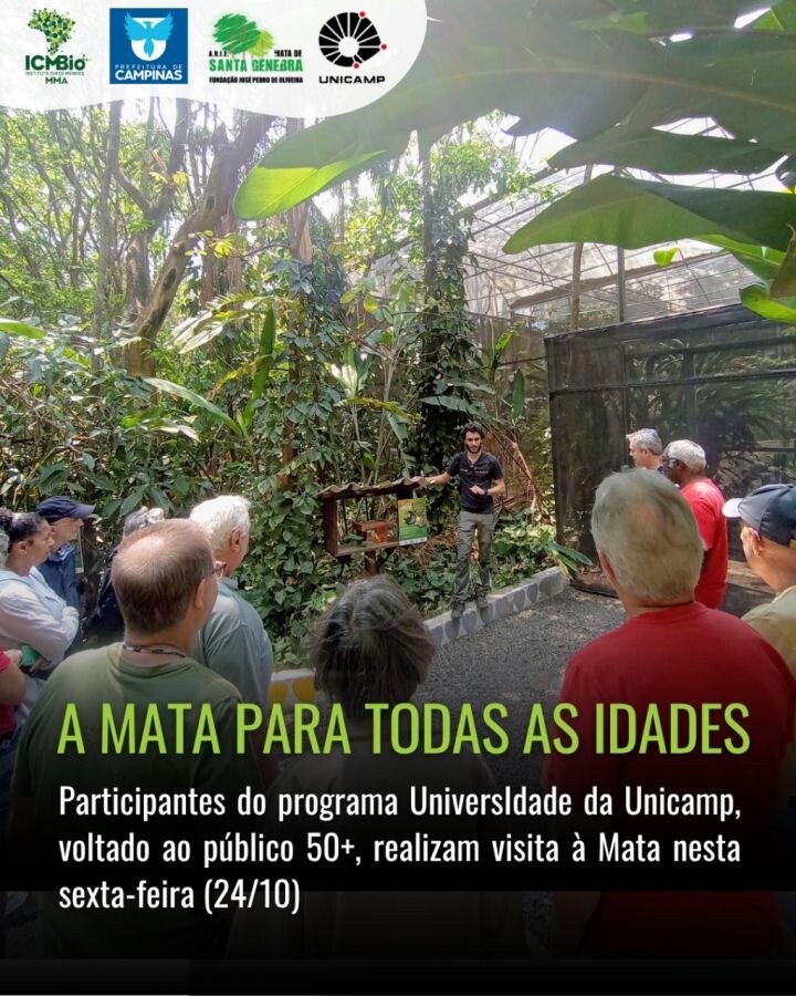 15 de Outubro: Dia de Homenagear Quem Aprende com a Floresta para Ensinar a Cuidar do Planeta