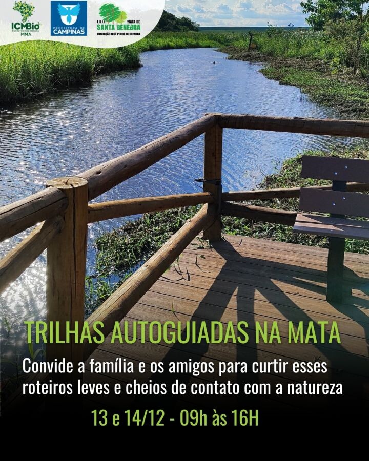 Nova reunião do Comitê Nacional de Manejo Integrado do Fogo tem presença de Marina Silva e participação da Mata de Santa Genebra