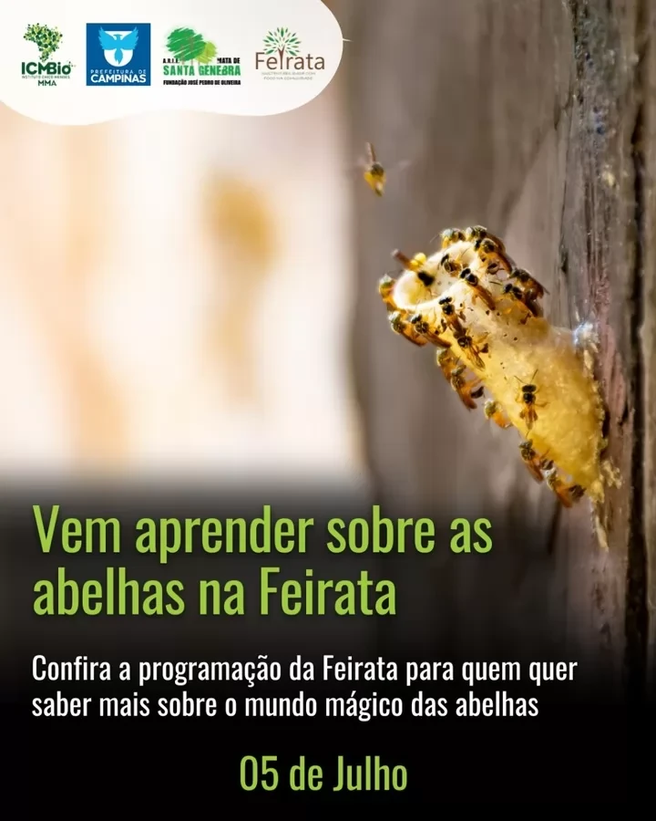 60da3b58b1e2782f65dba90a948ff083.webp