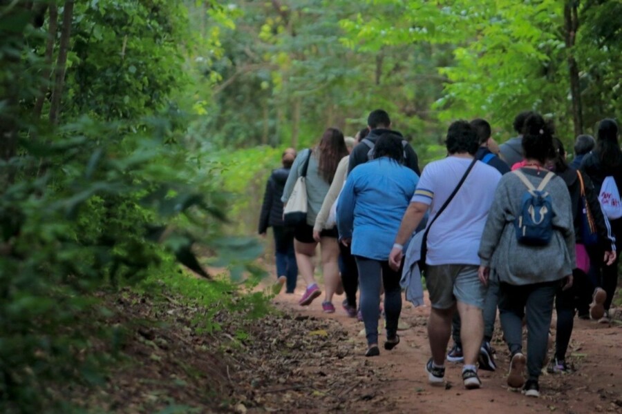 Tour Campinas leva participantes à Mata de Santa Genebra para valorizar riqueza ambiental