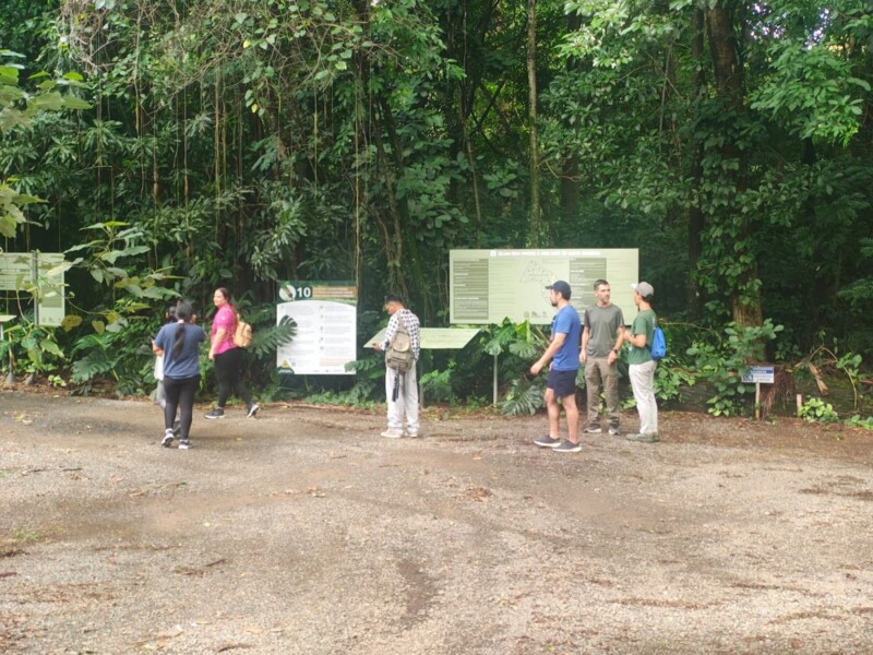 Visitantes e funcionários da Mata de Santa Genebra são orientados sobre febre amarela e febre maculosa