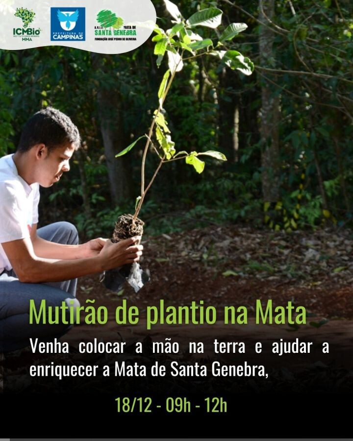 Maternidade animal