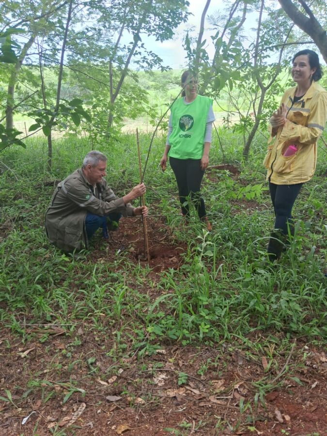 Sistema monitoramento com 21 câmeras entra em atividade na ARIE Mata de Santa Genebra