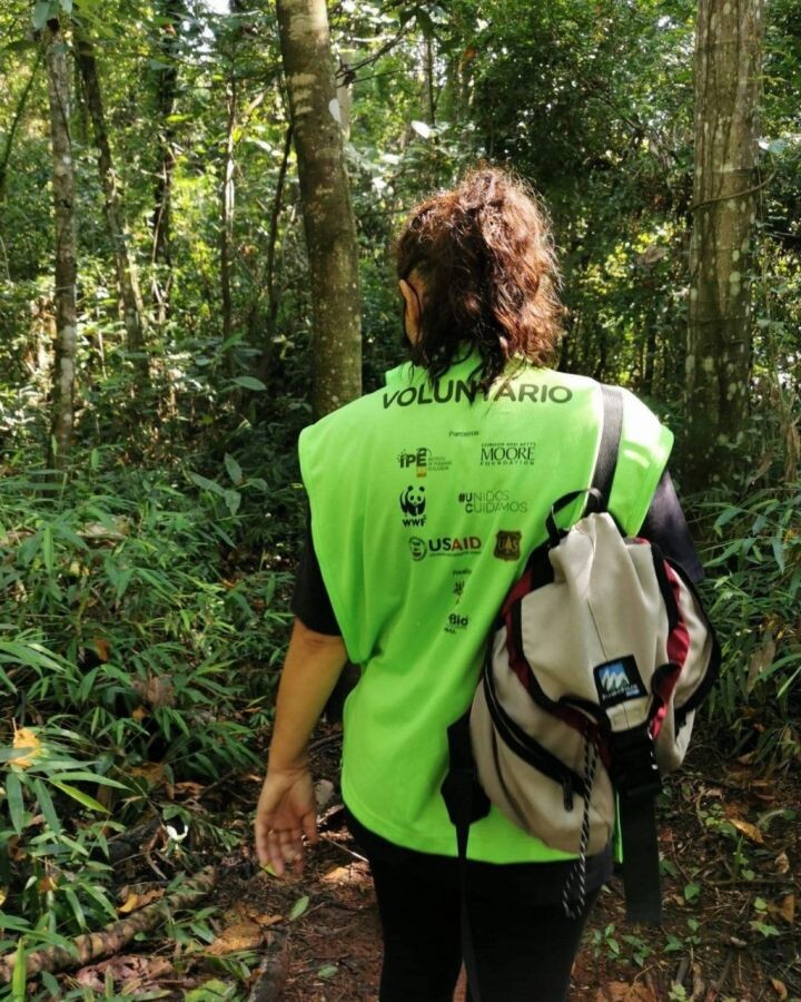 Fundação José Pedro de Oliveira firma parceria com Associação dos Amigos da APA de Campinas