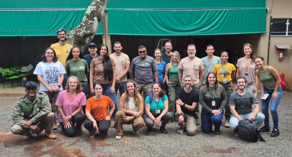 Treinamento Brigada Arborista para servidores e colaboradores da Fundação José Pedro de Oliveira