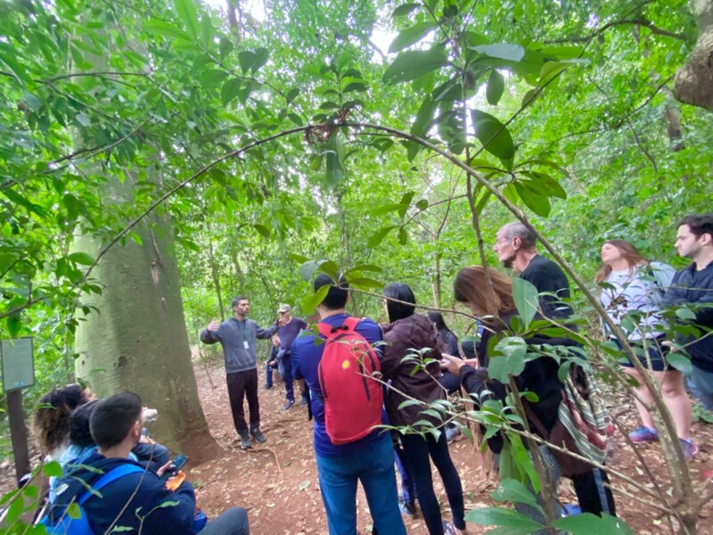 Fundação José Pedro de Oliveira e Centro de Saúde San Diego realizam atividade de cuidado com a saúde em contato com a natureza