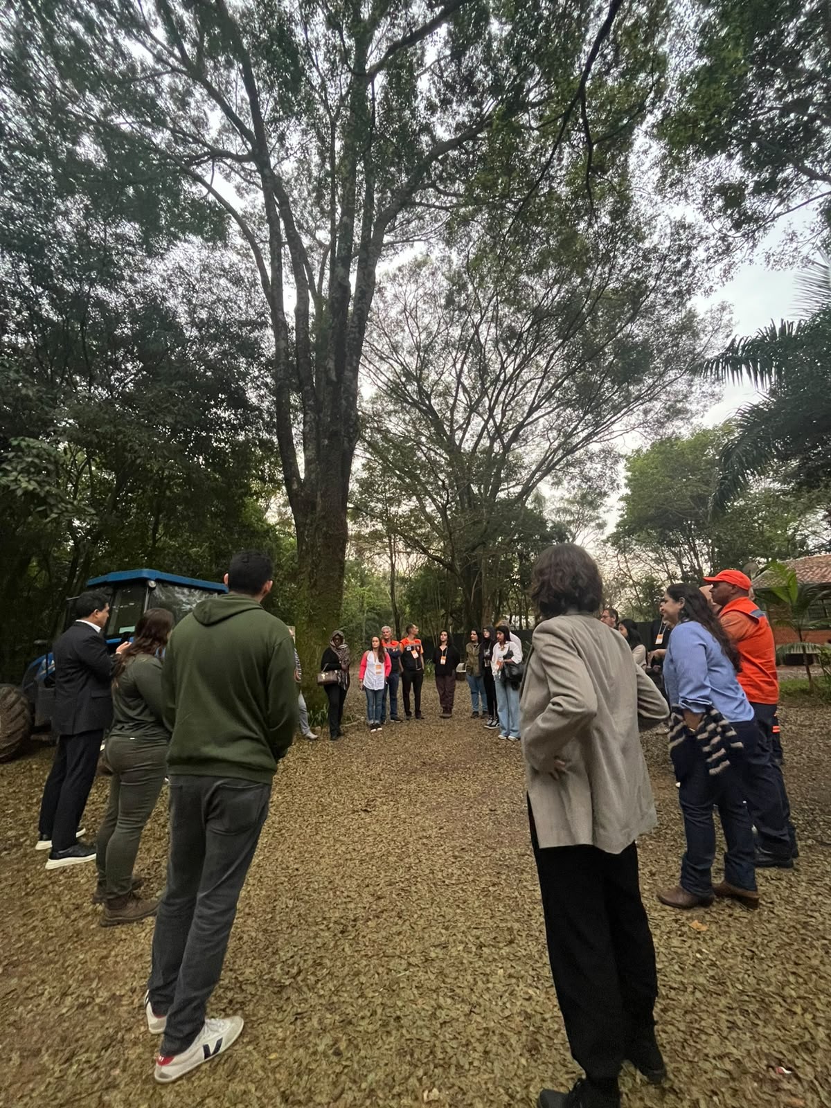 Visita técnica à Mata de Santa Genebra apresenta ações de conservação e adaptação climática