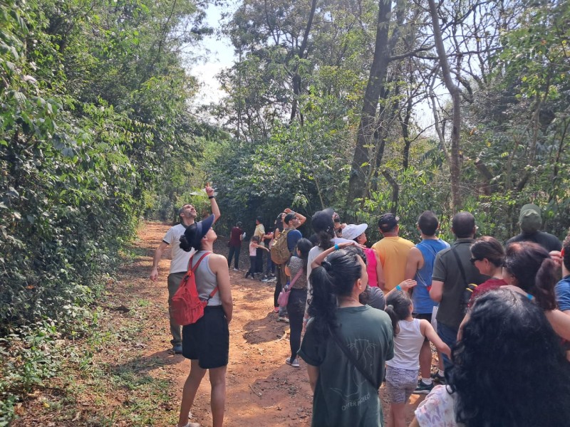 Tour por Campinas leva moradores a conhecer a Mata de Santa Genebra